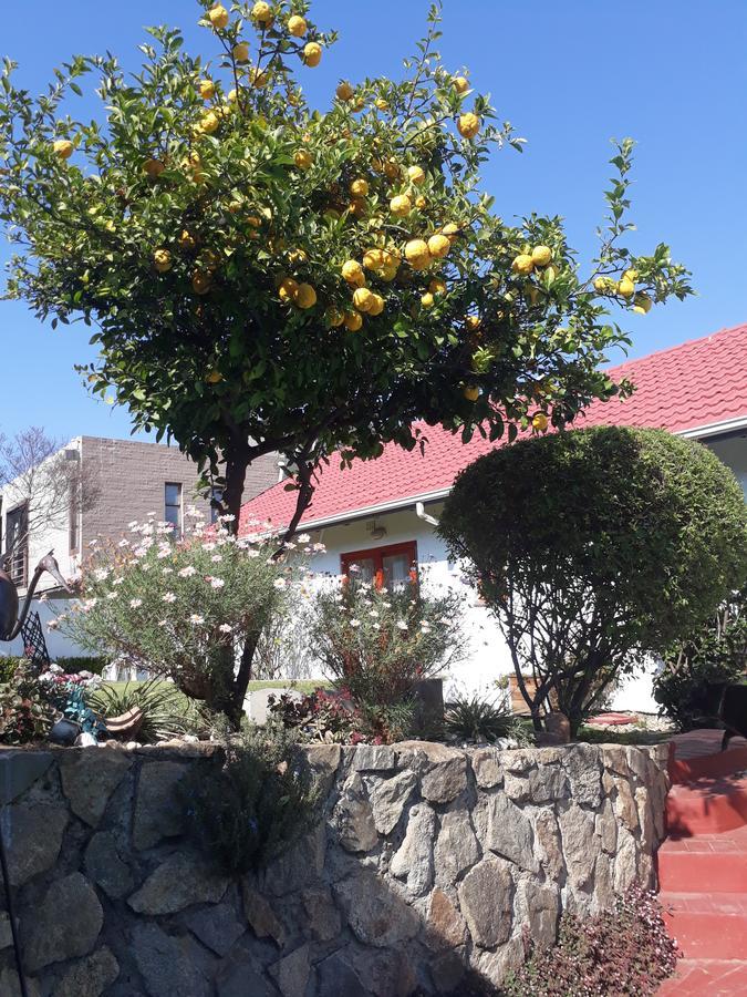 Mizizi House Of Sandton B & B Johannesburg Ngoại thất bức ảnh
